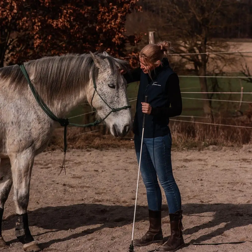 Andrea-Rauscher-MKA-Horsemanship-Pferdetraining-Pferdetrainer-Bodenarbeit-Pferd-Reitunterricht-Beritt-Biberach-Riedlingen-Ehingen-Ulm-Leistungen
