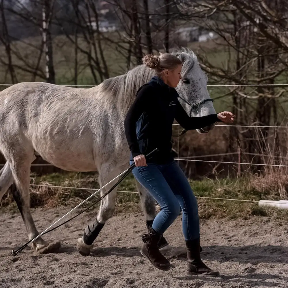 Andrea-Rauscher-MKA-Horsemanship-Pferdetraining-Pferdetrainer-Bodenarbeit-Pferd-Reitunterricht-Beritt-Biberach-Riedlingen-Ehingen-Ulm-Leistungen